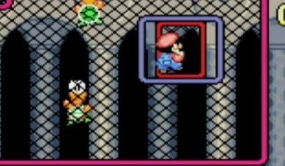 This little guy made me happy...