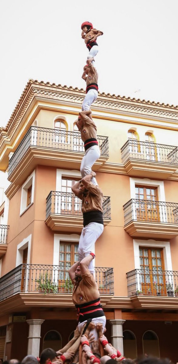 No n'hi ha prou! Et mirarem als ulls i farem que siguis una bestiola mansa. Et domarem!