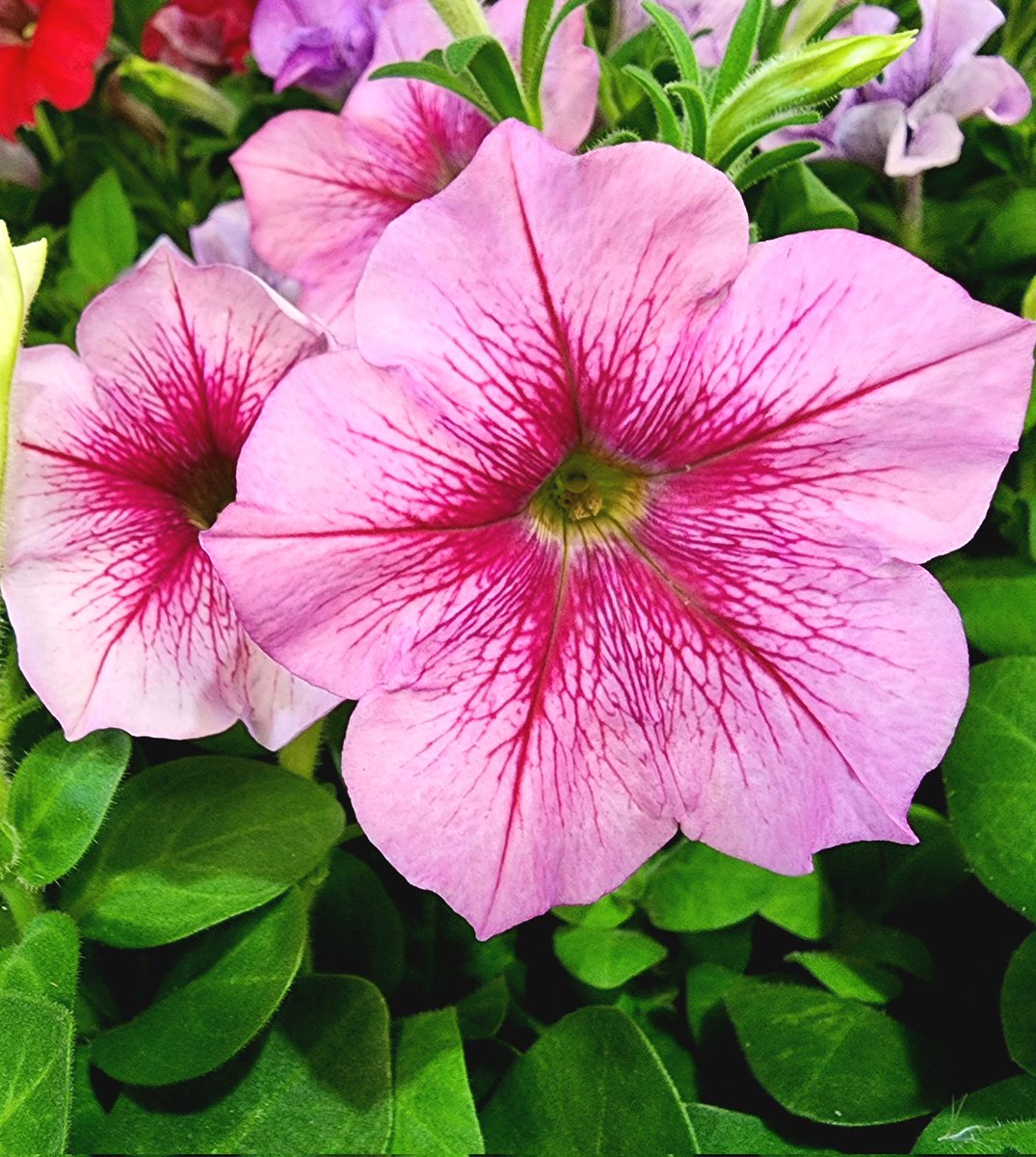 9月の滋賀県の朝は☀️晴天です
岡山県の🚚帰りです
今月もよろしくお願いします😀