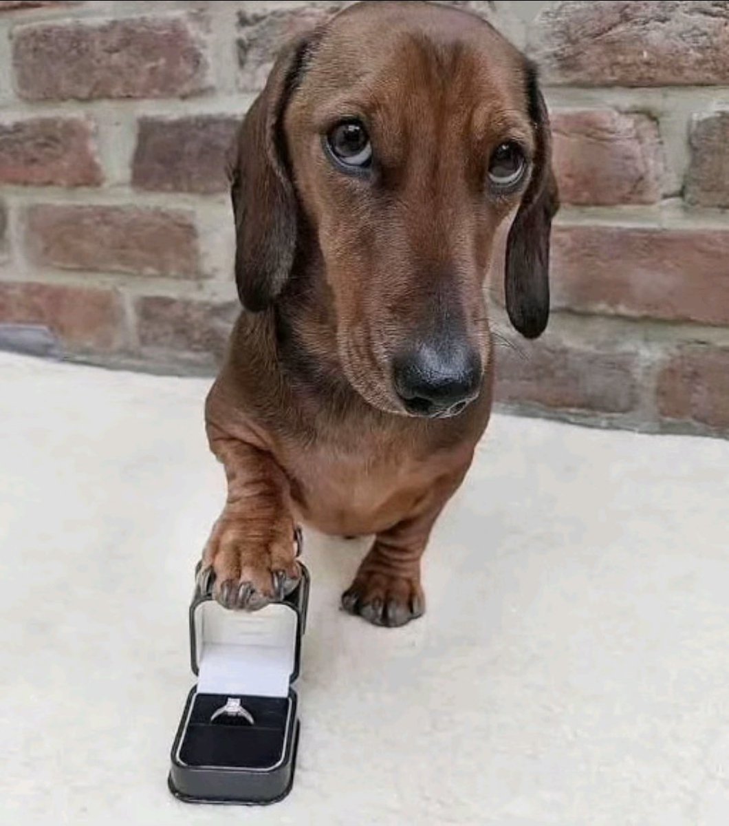 Dear September, na me fess use diamond ring propose give you oo
Treat me special plsssss 😭🙏

Happy new month CT 🩷💙