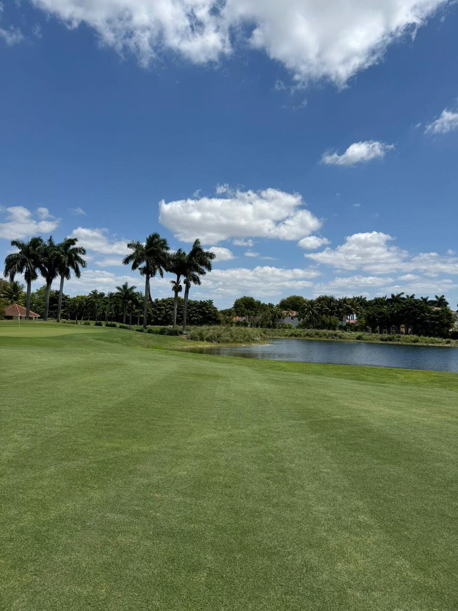 datn474's tweet image. Hết ngày với số điểm không qua 90. Không sao. Từ từ cải thiện 😁😁