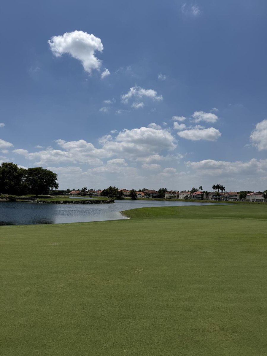 datn474's tweet image. Hết ngày với số điểm không qua 90. Không sao. Từ từ cải thiện 😁😁