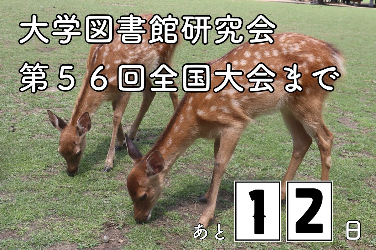 daitokenkyoto's tweet photo. 大学図書館研究会全国大会は、2025年9月13日(土)～9月14日(日)に奈良女子大学にて、開催します！
あと12日です！
今年はどんな発見や交流があるでしょうか、楽しみです🦌
申込締切は9月3日(水)17時までです📢
大会サイト: https://t.co/fvePZW3FEm
#dtk56 https://t.co/7LvfpWWJsz