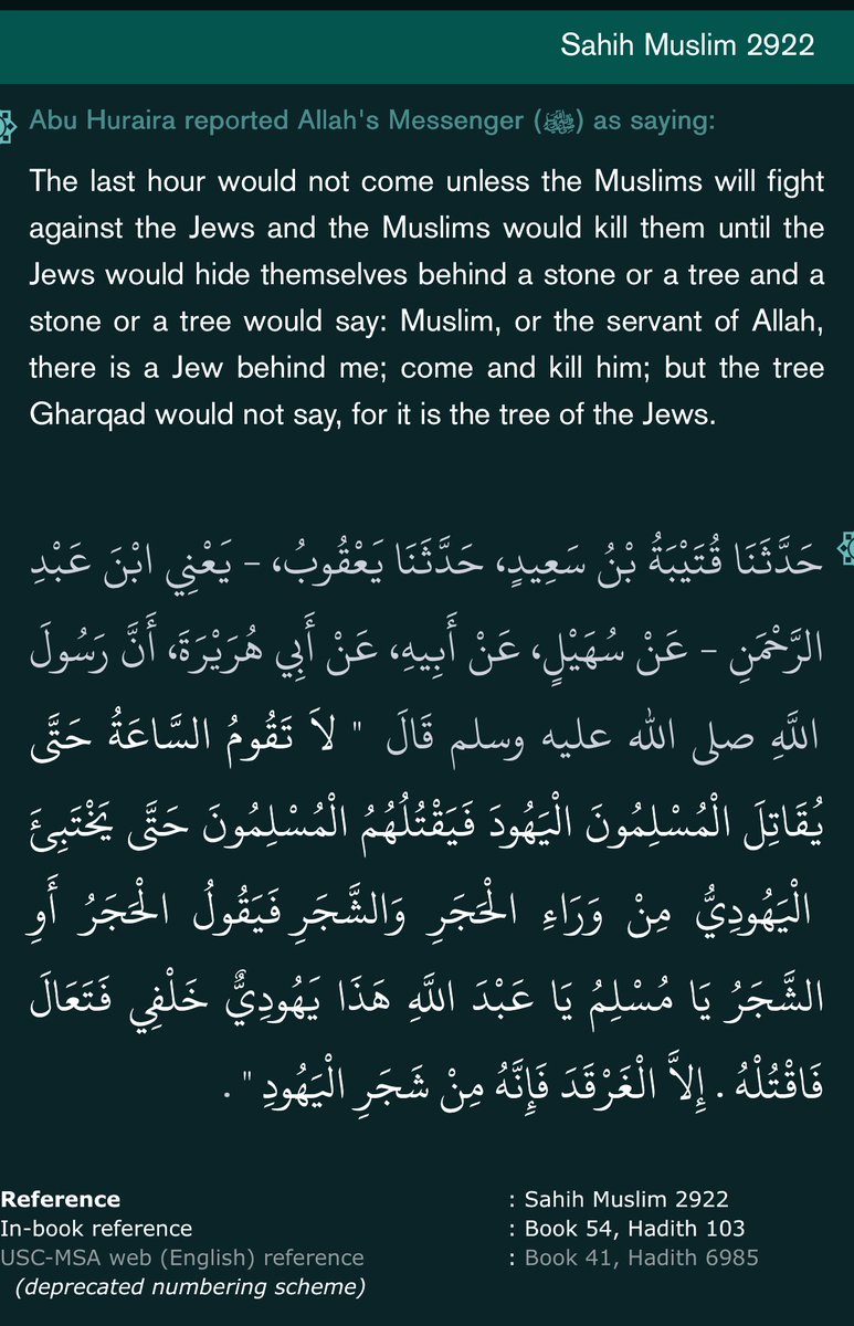 The irony is priceless: the ones cowering from the Jews in tunnels and bunkers actually believe their hadith that Jews will hide from them behind trees and stones. 🤣🤣🤣🤣