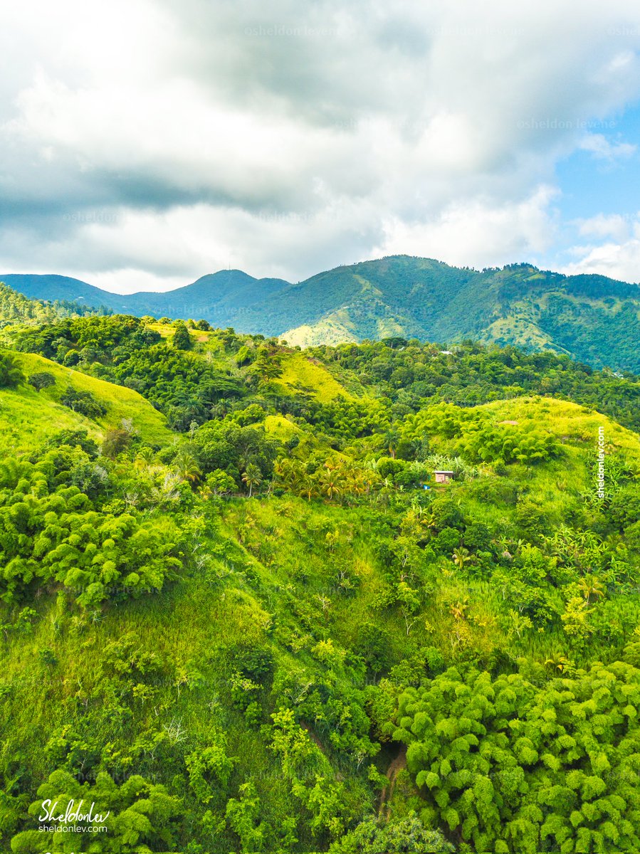 Gordon Town, Jamaica 🇯🇲