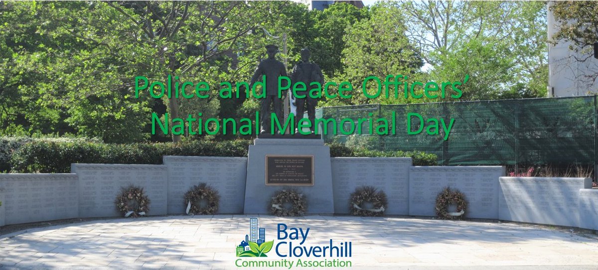 Bay Cloverhill (@baycloverhill) on Twitter photo 