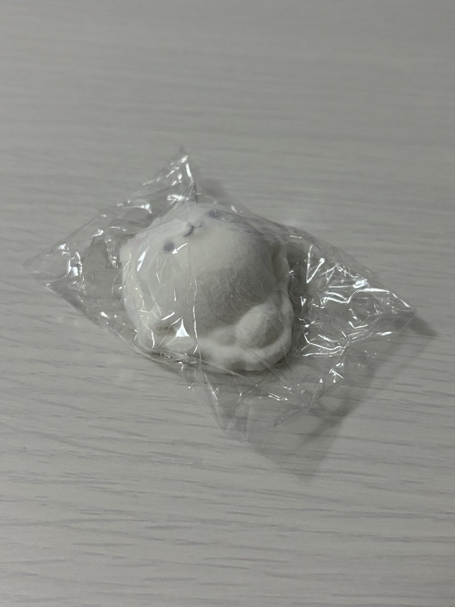 pom_cinamon's tweet photo. ポメラニアンもち マシュマロマスコット 交換

出 もち

求 もち(うつ伏せ) > しらたま
買取も可能です🙇🏻‍♀️(交換優先のため、単体ですと少々お時間いただくかもしれません💦)
郵送または都内手渡し(ご都合が合えば)

お気軽にお声かけいただけますと幸いです、よろしくお願いいたします…！ https://t.co/pVN7bg9Alf