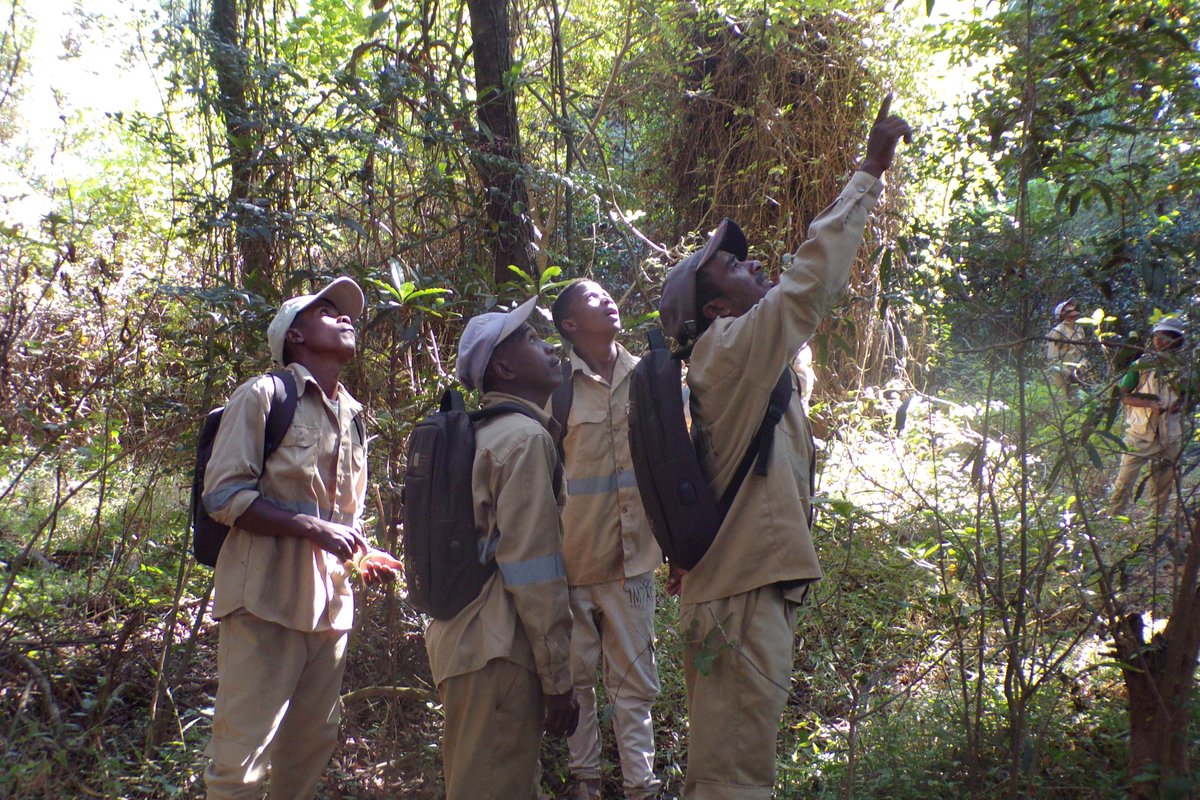 What does the #WildlifeRangerChallenge really support?

In #Madagascar, rangers protect lemurs &amp; forests and help communities thrive. 🐾🌱

Here’s a look at the impact you’re making 👇

👉 wildlife.rangerchallenge.org/campaigns/impa…

#ForWildlifeRangers #Conservation