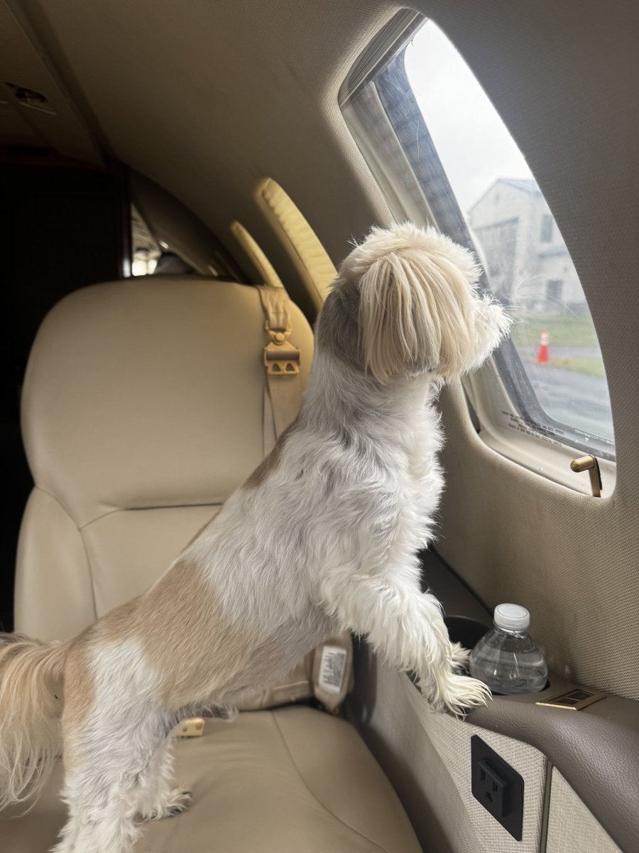 John Calipari tweet media