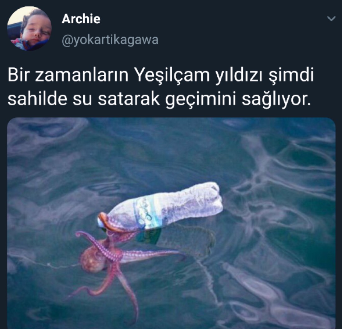 eskimeyen tivitler (@eskimeyentivit) on Twitter photo 