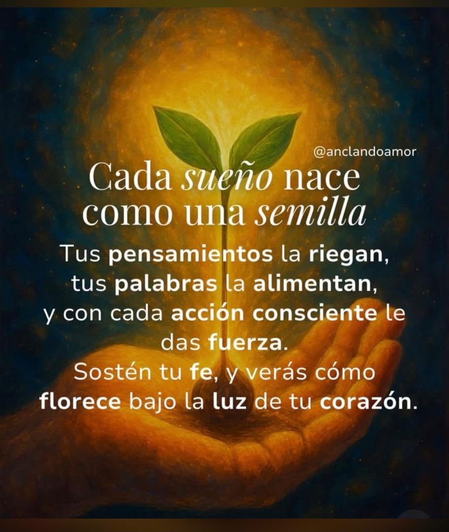 Buenas noches amados amigos, linda noche con dulces sueños, alegre amanecer 🌅 y como siempre con la bendición y protección de Dios y la Virgen, agradecidos siempre, los abrazo 🙏🤗😴🐣☀️🍄👍🌺🌛