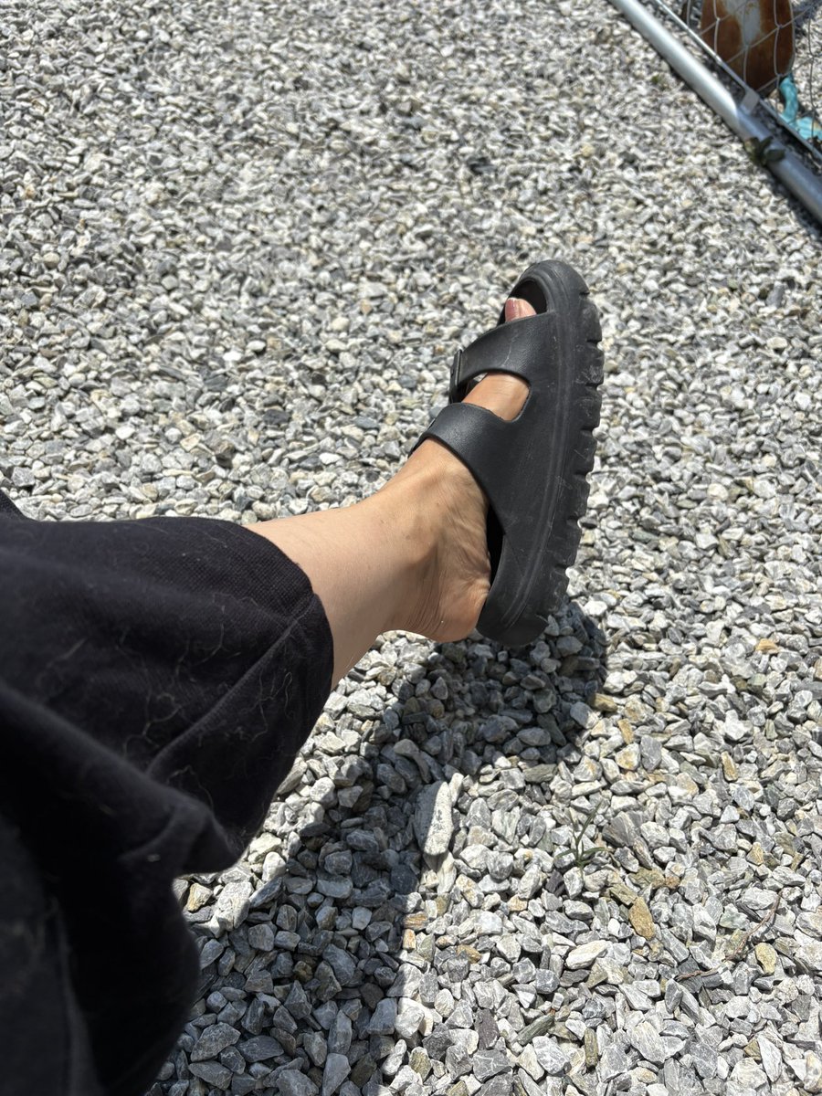 買ったばかりのサンダル
外に置いていたら縮んで子供サイズになった😢