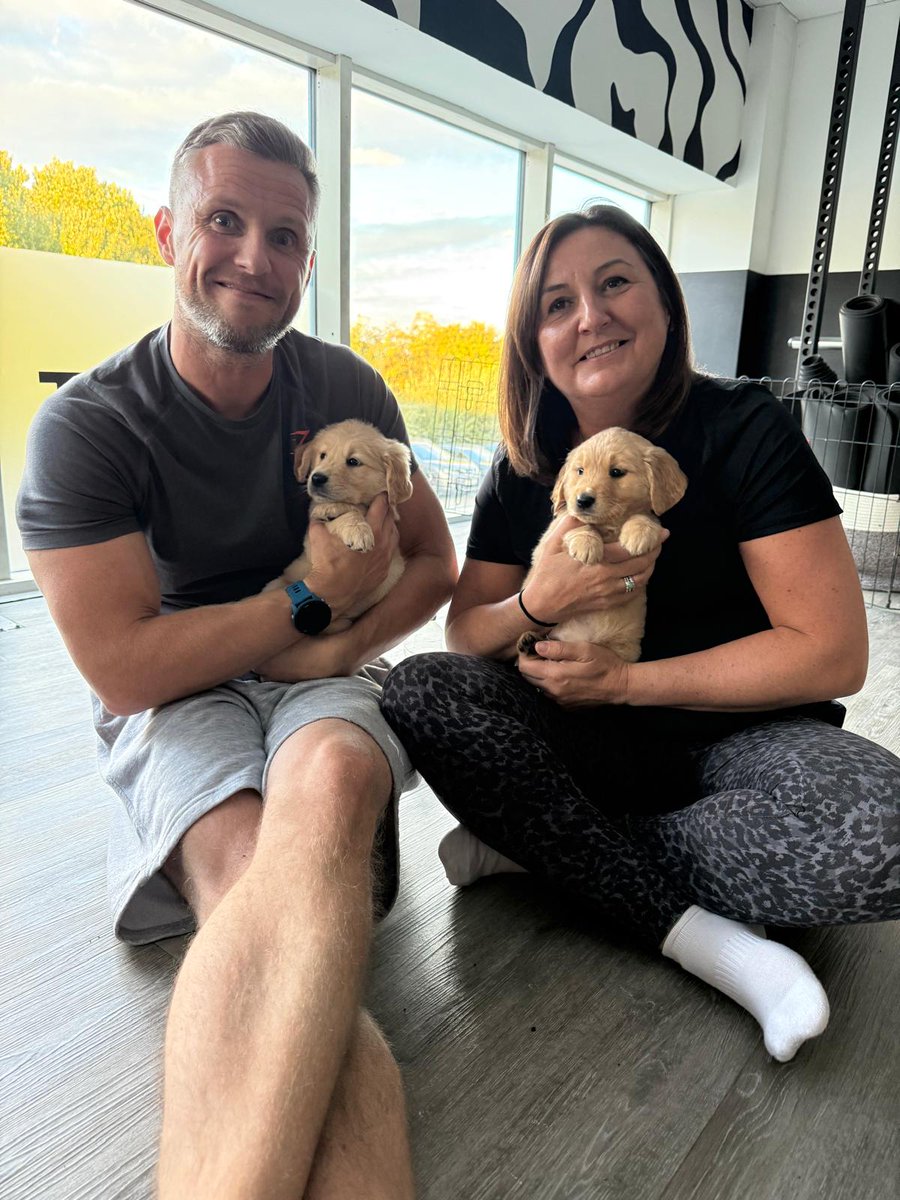 StefJarm's tweet image. My spirit animals #pupp