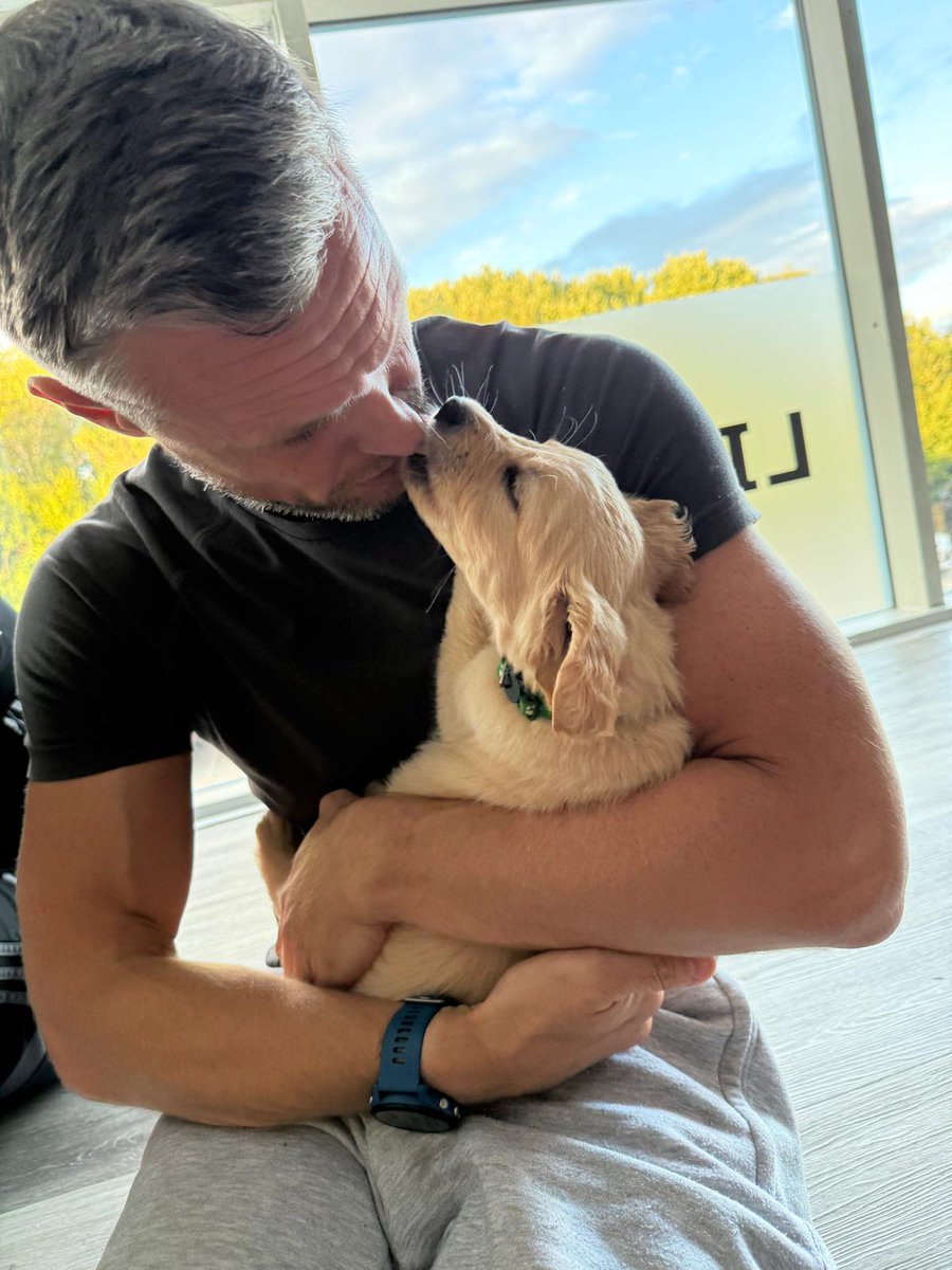 StefJarm's tweet image. My spirit animals #pupp