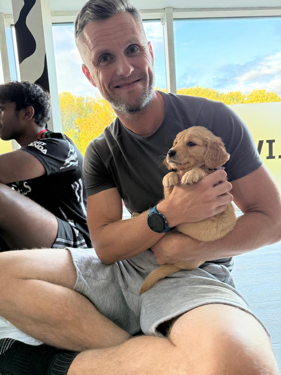 StefJarm's tweet image. My spirit animals #pupp