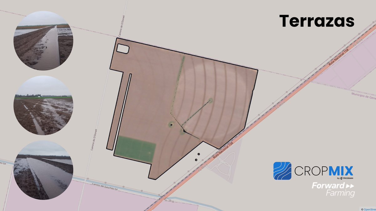 A escazos días de confeccionadas, y aún en construcción, el efecto de las terrazas en el Cropmix.
Otra forma de sembrar agua, evitando efectos adversos prediales y extra prediales ahora, queda todo en manos de la creatividad agronómica para mejorar la infiltración.