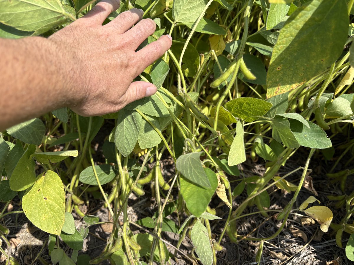 Branden Burns tweet media