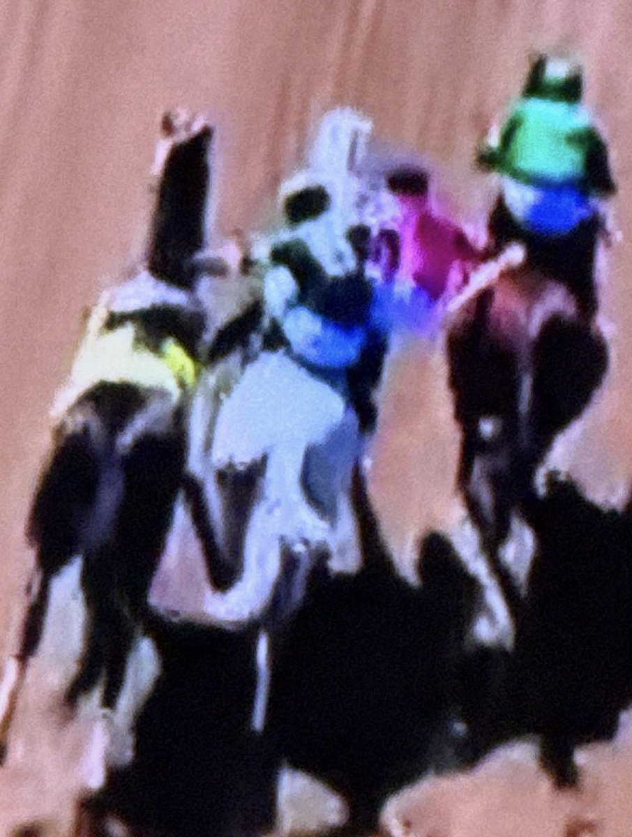 Just wow, what amazing athletes these jockeys and horses are <a href="/zayas_edgardo/">Edgardo Zayas</a> and <a href="/iradortiz/">Iradortiz</a> both on White Abarrio. Prayers out to <a href="/iradortiz/">Iradortiz</a> and his family. Both Mindframe and White Abarrio appear to be in good order.