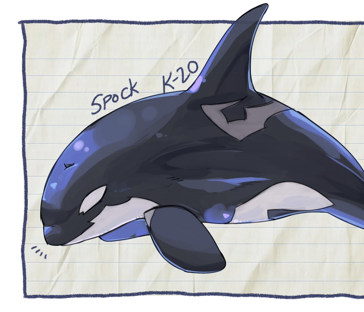 old spock k-20 doodle ^_^ I love the saddle patch sm sm sm!! orcas have such diverse saddle patches guhh