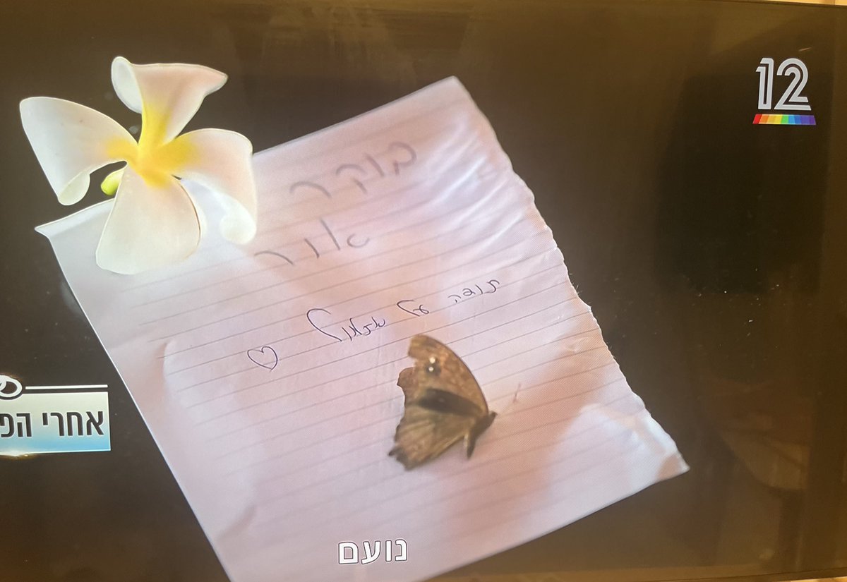 נועם!!! שאני אבין הבאת לנטלי מתנה פרפר מת???