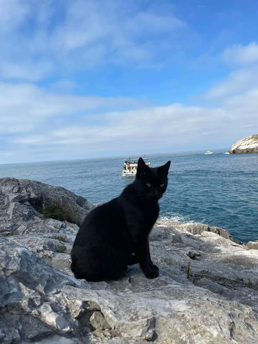 Veda etmek hiç kolay değildi..