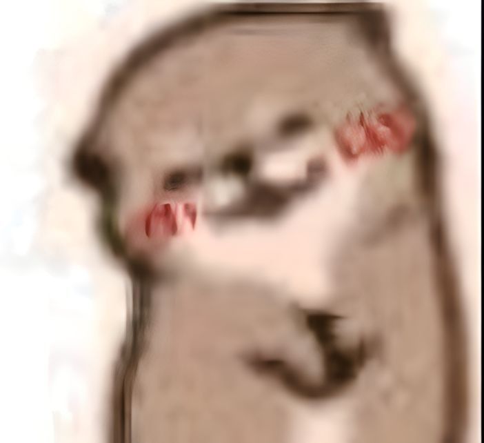 Bee ᡣ . ٜ̥ .ྀི - Amelia's girlfriend tweet media