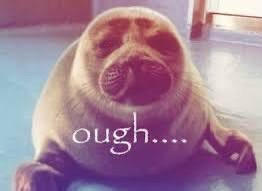 adsy ♡ ‧₊˚ ⋅ (@adsy_sae) on Twitter photo 