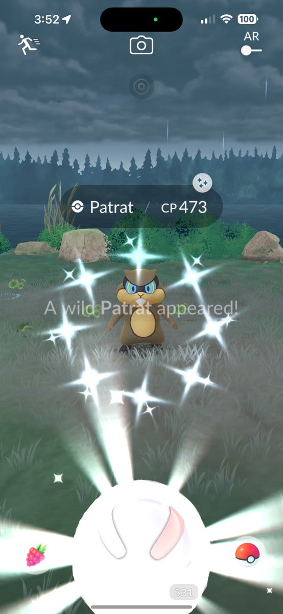 Omg 😱 just caught shiny ✨ Patrat 😍

#pokemongo #pokemon #gaymer #teaminstinct #shinyhunter #ShinyPokemon