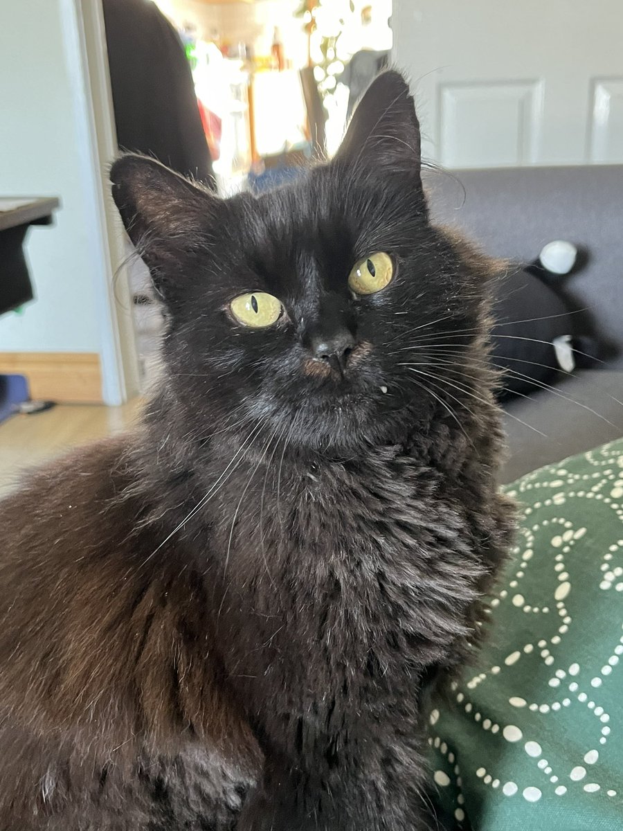 RealHumanNotBug's tweet image. Faceless august 🖤