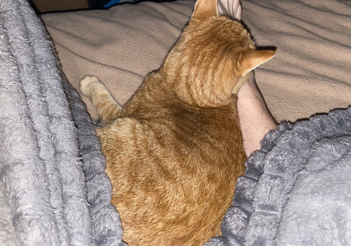 Matt Ramsey tweet media