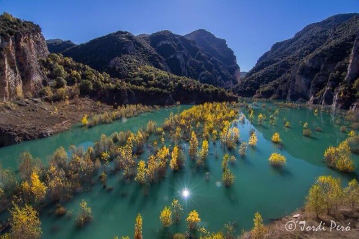 ramontremosa's tweet image. La gran mobilització del territori en defensa del congost de #montrebei, des dels alcaldes catalans i aragonesos fins al Parlament Europeu, van ajudar decisivament a decantar la decisió del govern català i de la CHE de no autoritzar la presa. 
Foto: Jordi Peró @MONTSEC_ 
👇👇👇👇