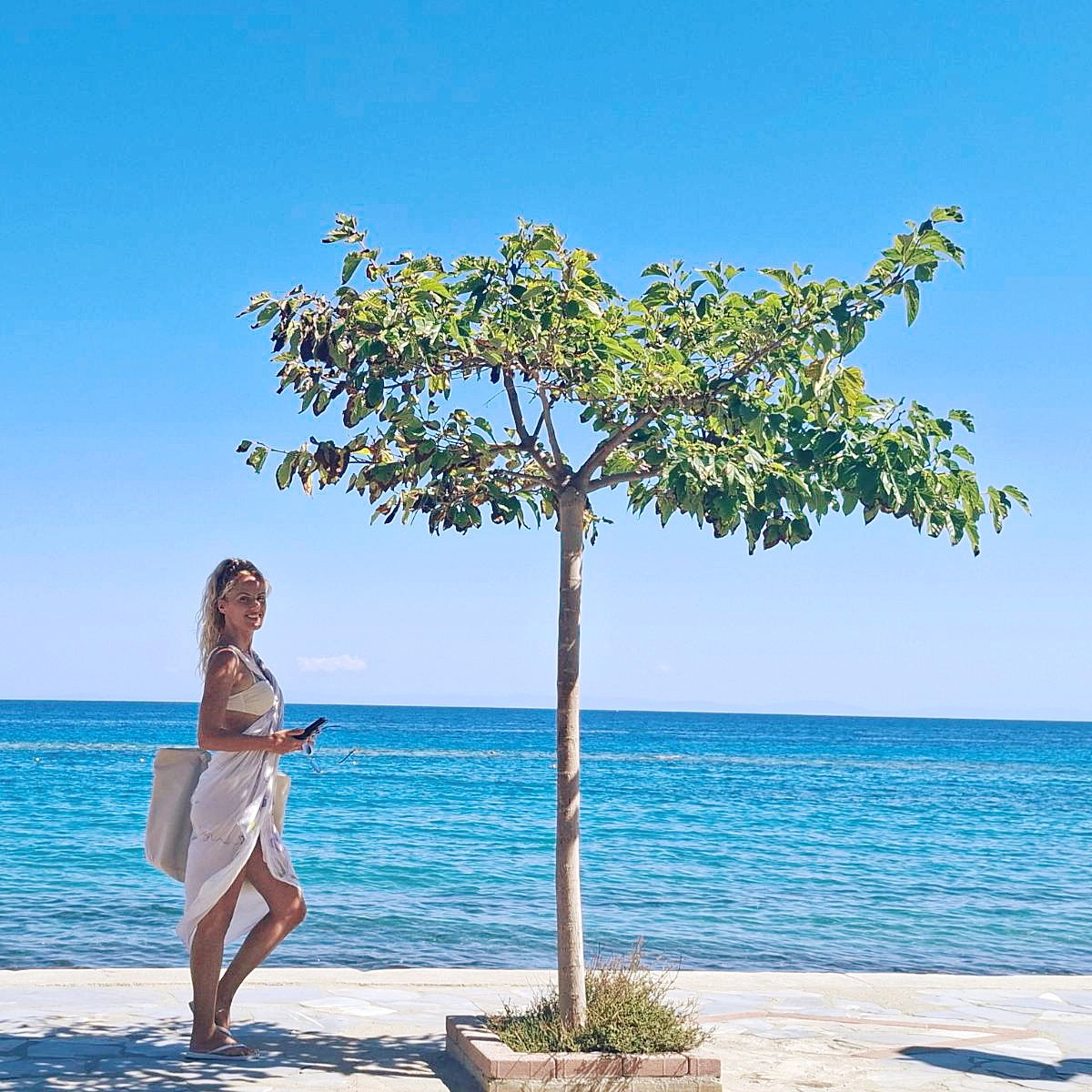 NellyMonk1's tweet image. The view by the port with &quot;elegant&quot; tree ☀️🏝️
Wideness of the sea is absolutely outstanding, there are no words to describe the feeling 🤎🌊

#SummerVibes #mysummer #summerview