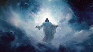 Bodmin Hermit tweet media