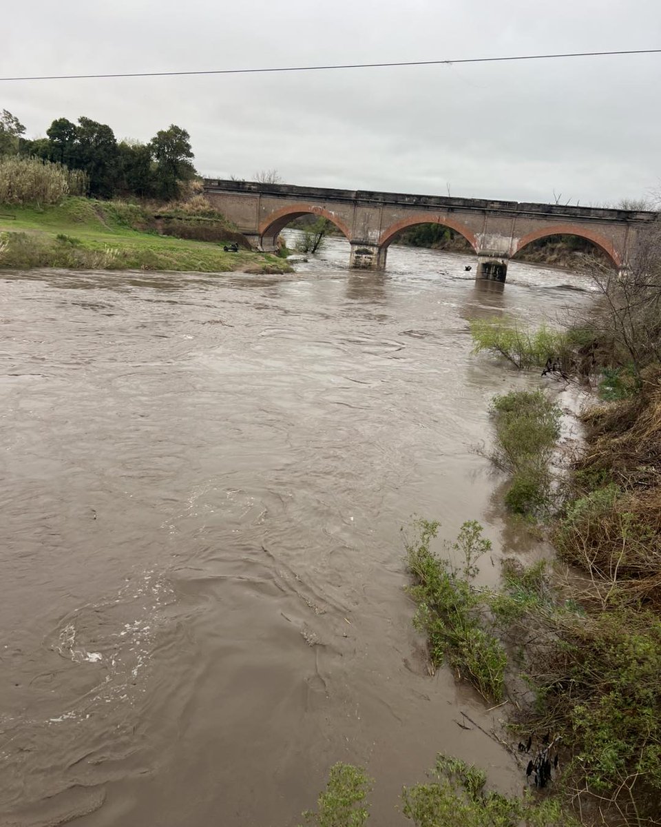 TEMPORAL DE LLUVIAS | 📢 Preocupa la situación del Río Carcarañá: creció dos metros en las últimas dos horas y ya desbordó a la altura de la RN 9 vieja

⚠️ En Pueblo Andino realizan un seguimiento Bomberos Voluntarios y Protección Civil de Sta Fe. Actualmente la altura es de 5.10