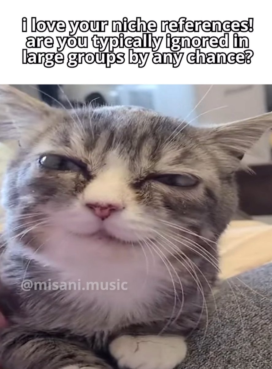 LiterallyMeCats (@literallymecats) on Twitter photo 