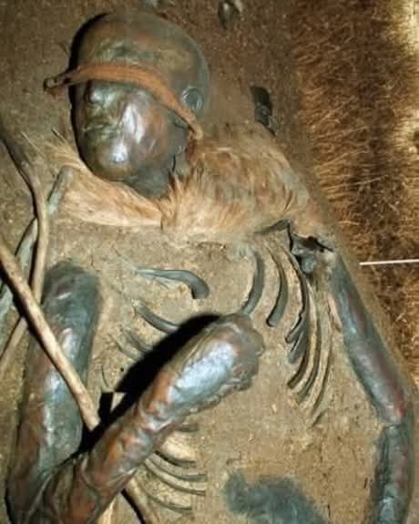redhistoria's tweet photo. En 1952, una figura inquietantemente conservada emergió de una ciénaga alemana, cautivando al mundo con su inquietante presencia. Inicialmente apodada la "Chica de Windeby", se creía que este antiguo cuerpo pertenecía a una joven de la Edad de Hierro. Sin embargo, décadas de investigación han revelado una historia más compleja.

El cuerpo fue descubierto cerca de Windeby, en Schleswig-Holstein, Alemania, por excavadoras de turba. Tras la excavación, se encontraron partes del cuerpo cercenadas, pero los restos se encontraban en un estado de conservación notable. Inicialmente, la complexión delgada y los rasgos faciales llevaron a los investigadores a concluir que se trataba de una mujer. Sin embargo, en 2006, la antropóloga canadiense Heather Gill-Robinson realizó pruebas de ADN que revelaron que los restos pertenecían a un joven de 16 años, lo que desmintió las suposiciones previas.

La datación por radiocarbono situó la muerte del individuo entre el 41 a. C. y el 118 d. C., coincidiendo con el período tardío de la Edad de Hierro. El cuerpo presentaba signos de desnutrición y enfermedad, incluyendo abscesos dentales y líneas de Harris, indicadores de alteraciones del crecimiento debido al estrés o la mala nutrición. 
Contrariamente a las teorías anteriores que sugerían una muerte violenta, estos hallazgos apuntan a un fallecimiento natural.

La llamada "venda" se identificó como una banda de lana, probablemente utilizada para sujetar el cabello del individuo, que se había desplazado sobre el rostro post mortem. La cabeza semiafeitada se atribuyó a la descomposición diferencial, no a un castigo ritual, como se creía anteriormente.

El descubrimiento de Windeby II, un cuerpo masculino hallado en las cercanías, alimentó inicialmente las teorías de una trágica historia de amor o un castigo ritual. Sin embargo, análisis posteriores desmintieron estas narrativas, revelando una realidad más mundana.

Hoy en día, los restos de Windeby I se conservan en el Landesmuseum de Schleswig, Alemania, y sirven como testimonio de las complejidades de la interpretación arqueológica y la evolución de la comprensión de las sociedades antiguas.