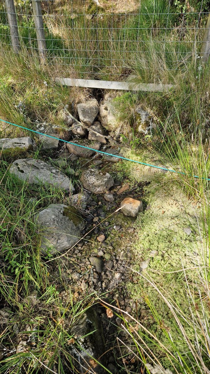 Don't think I have ever seen this completely dry up. Amazed our water tanks are full!