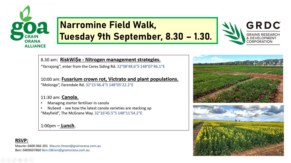 Join us NEXT Tuesday, Sept 9, for our #Narromine Field walk.
There will be:
🟢Nitrogen stuff.
🦠Crown rot stuff.
💛Canola stuff.
.....and FOOD🍔!!

Starts at "Yarrajong", 32°08'48.6"S 148°07'46.1"E

<a href="/GRDCNorth/">GRDC North</a> <a href="/theGRDC/">GRDC</a> <a href="/NuseedGlobal/">NufarmGlobal</a> <a href="/MaurieStreet/">Mauriestreet</a> <a href="/bennyob/">ben obrien</a>