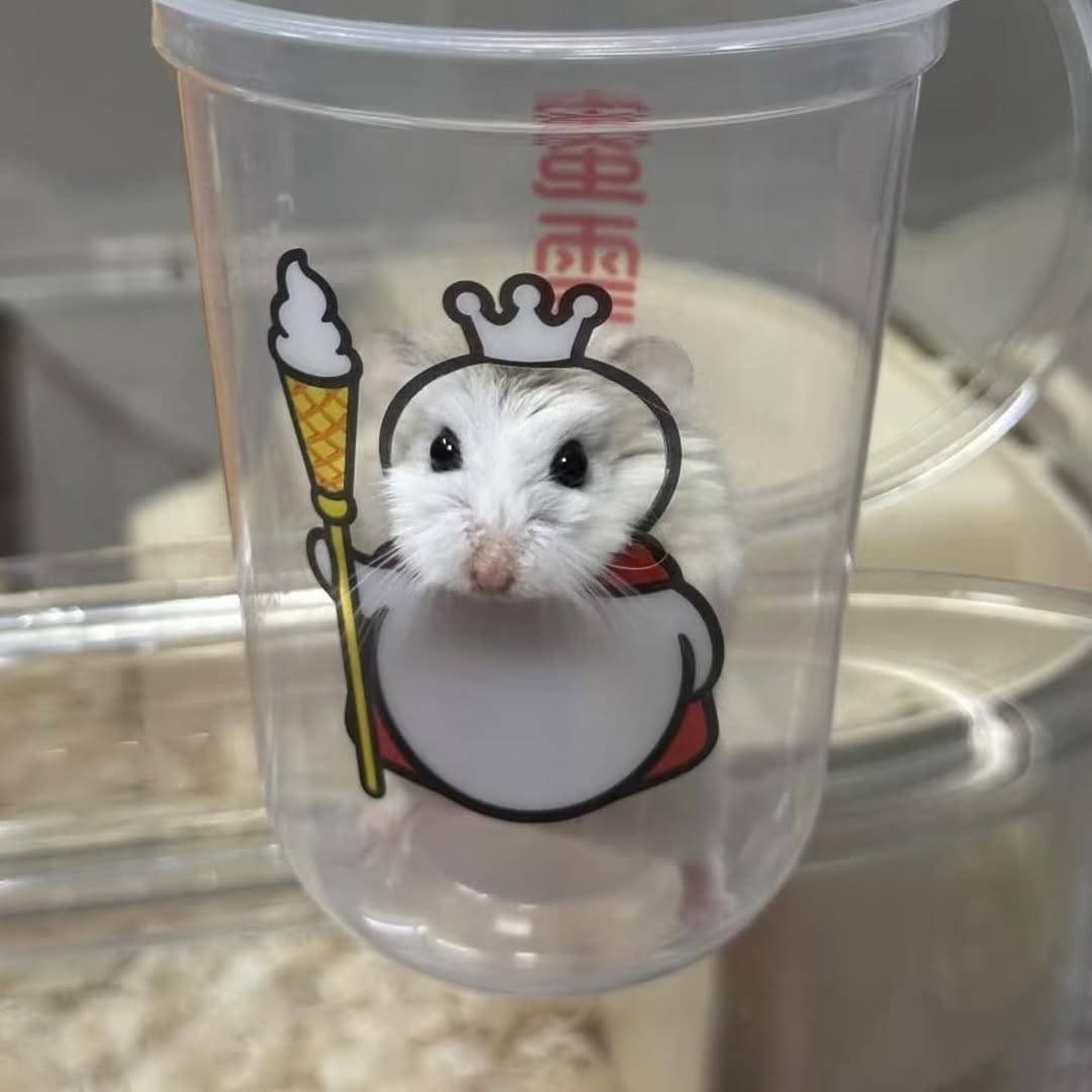 hamster (@hamsterie) on Twitter photo 