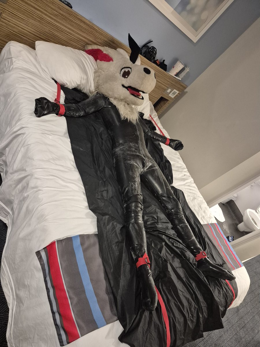 Hay there everyone here a few pic of me trying out <a href="/furrjoi01/">FURRJOI</a> drone hood thanks to a good friend of mine <a href="/Squeakytoy_1/">Squeakytoy1</a> and it trying that drone hood on was fun and I am defo going to be getting one soon