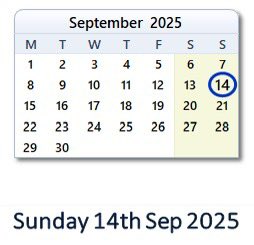 CarnWheelers tweet media