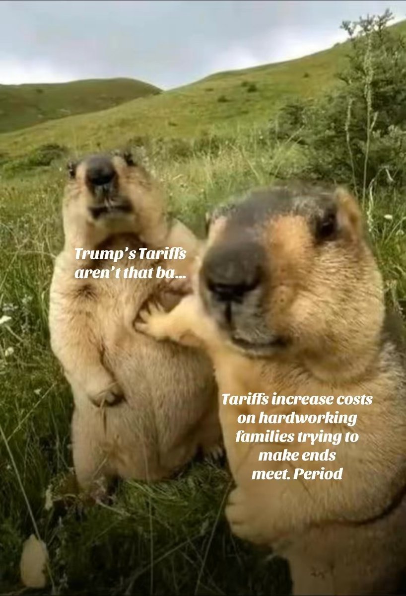 Governor Jared Polis tweet media