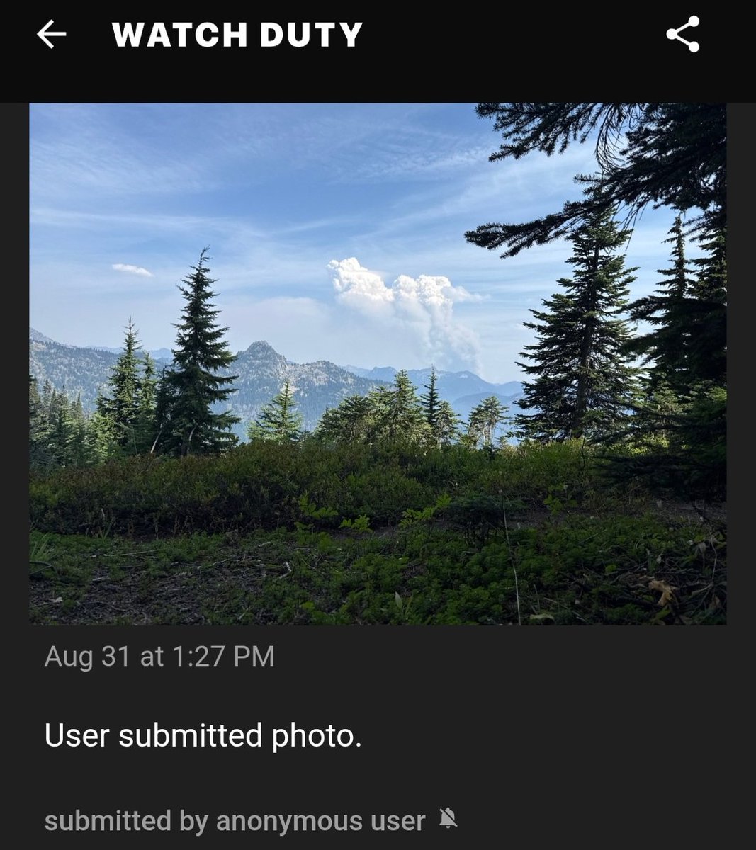 Borrowed7Time's tweet image. WA: the #WildcatFire E of Mt. Rainier has burned 260+ acres w/no containment. Aircraft operating: 

PC12 N320PW as Air Attack 651
B429 N426PJ Type 3 Heli
(Photo from @watchdutyapp) 
@sipjack1776 @Wa_fire_watch @LadyAstroJet