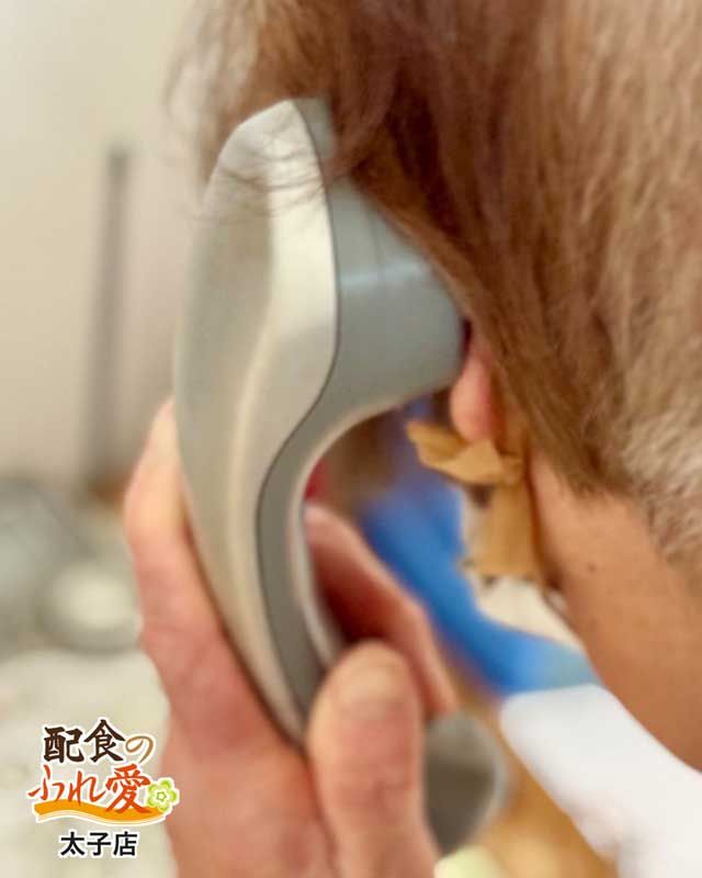 hureai_taishi's tweet image. お客さまからは、お電話や回収したお弁当箱にお手紙を添えていただくことがあります。厳しいご意見もありますが、「美味しかった」「配達員の対応が良かった」といった温かいご感想が多く、とても励みになります。 #企業公式が朝の挨拶を言い合う #企業公式相互フォロー