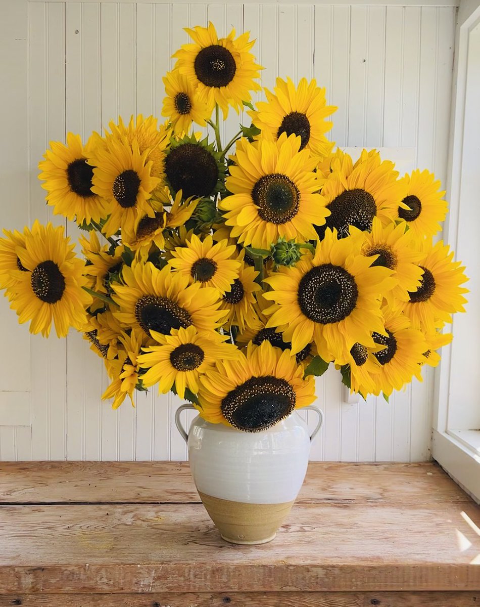 Өглөөний мэнд ❤️амжилт 🫰