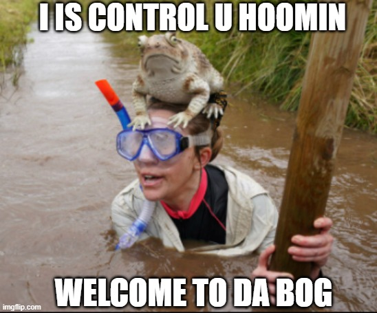 #bogmemes