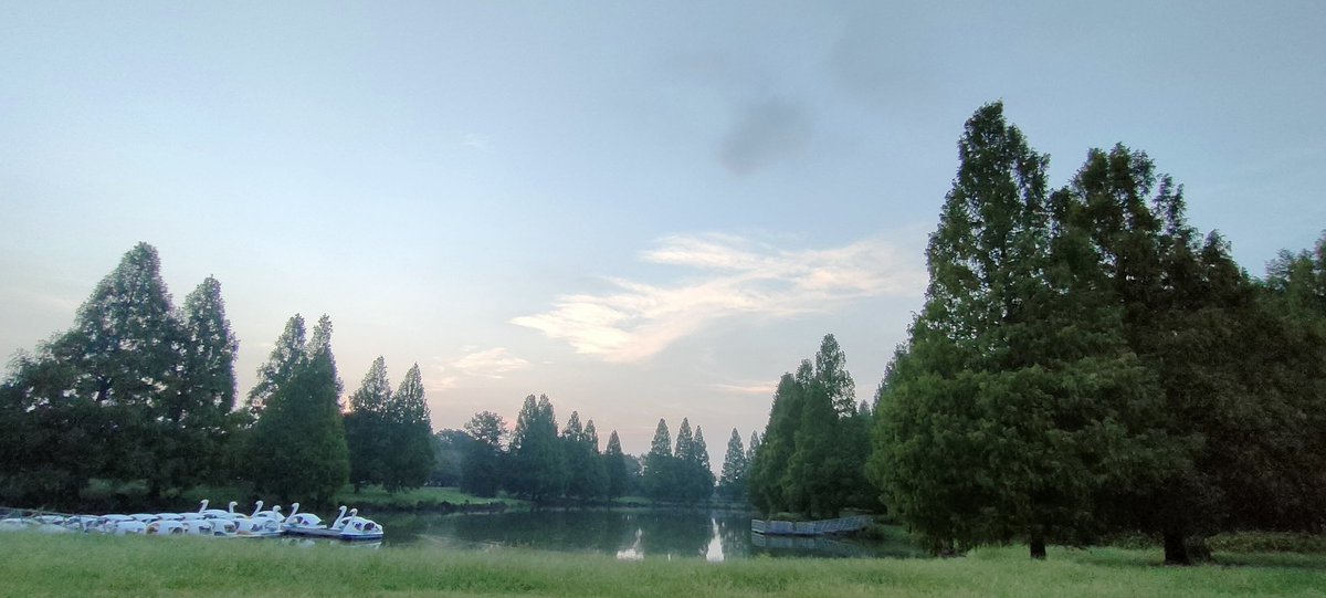 montaryota's tweet photo. おはようございます！🐸

連日の　出張終わって　日常へ

さ！生活リズム取り戻すぞ！
#川柳　#朝活　#朝散歩　#ウォーキング　#ダイエット　#出張　#岐阜　#中津川　#栗きんとん　#美味しかった https://t.co/WfKbs1yjHY
