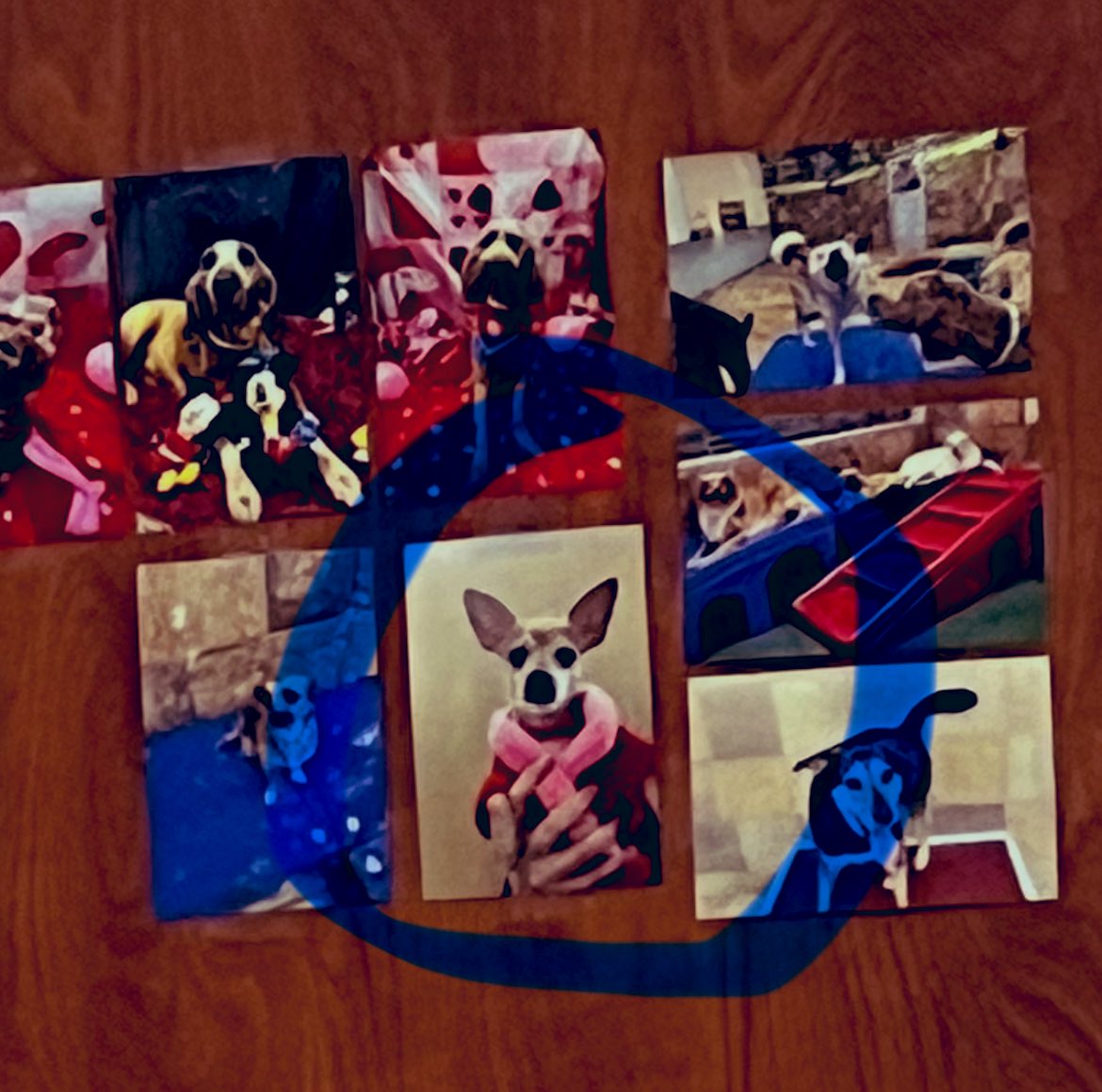 mom2tx's tweet image. I have always had a bit of a guilty feeling for leaving my granddogger in @PetSmart #PetHotel She led me to believe she was miserable and cried all day. That ended today when I saw her photo on the wall wearing a bathrobe! The proof is in the photo! Can I stay? 🤪#SpaLife…