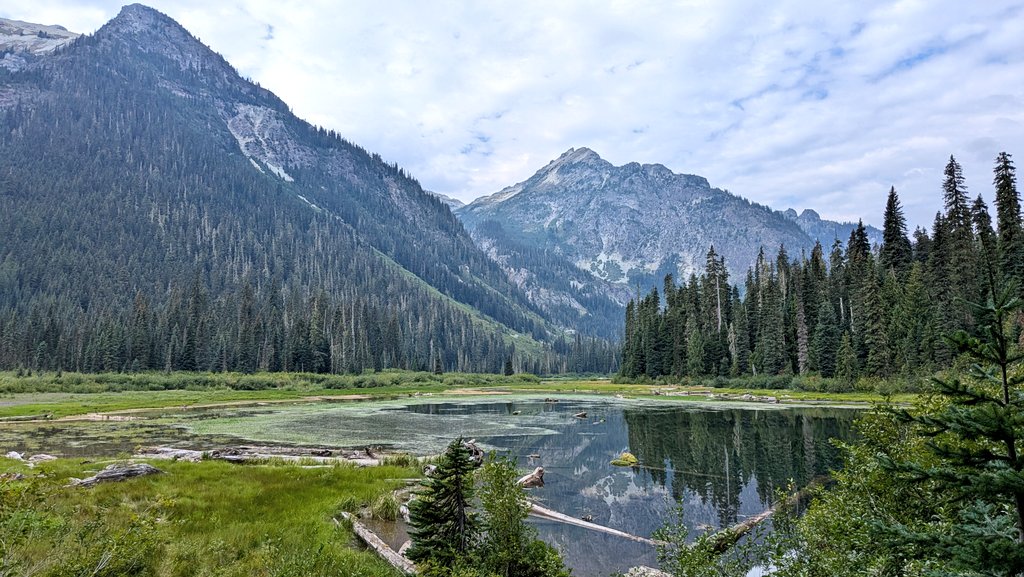 Karidas! tweet media