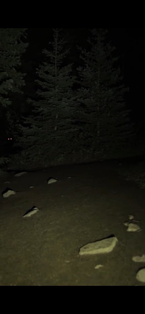 this was as close as i was able to get to the thing following me